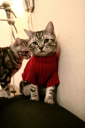 “英超关键战:豪门对决,胜负关乎后续走势”,英超豪门多