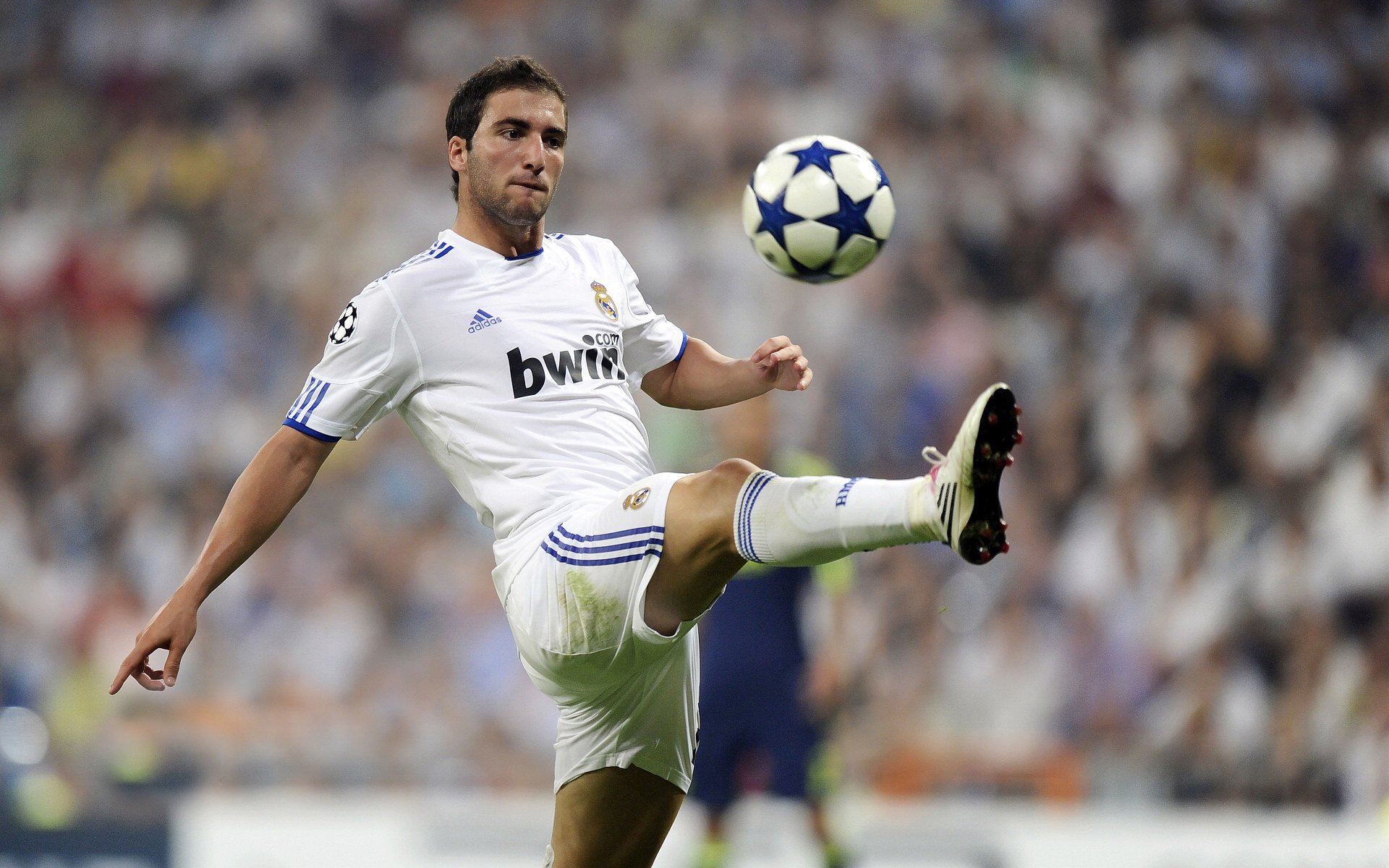 德甲裁判尺度再引争议,公平问题受到关注,德甲裁判尺度再引争议,公平问题受到关注吗