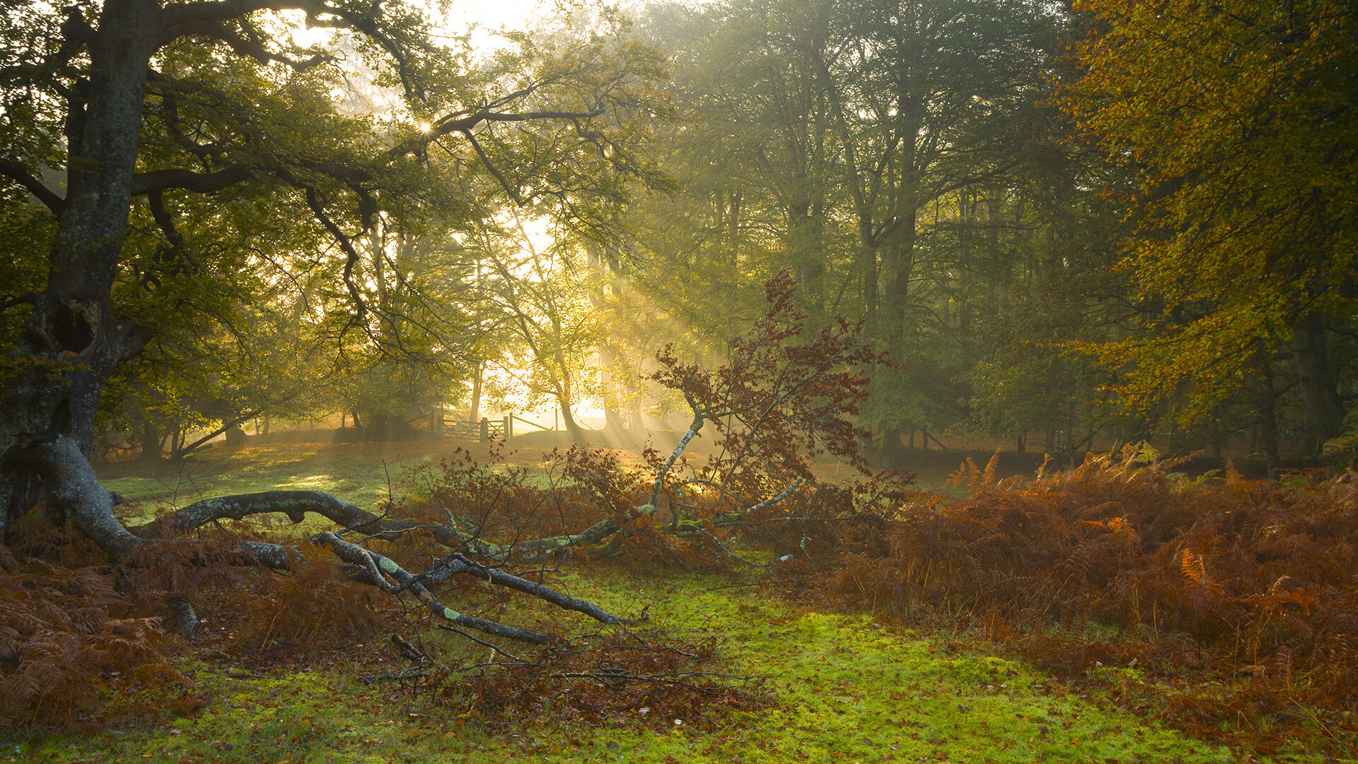 赛场空前激烈：欧冠比赛中的“胶着”时刻，欧冠拍成