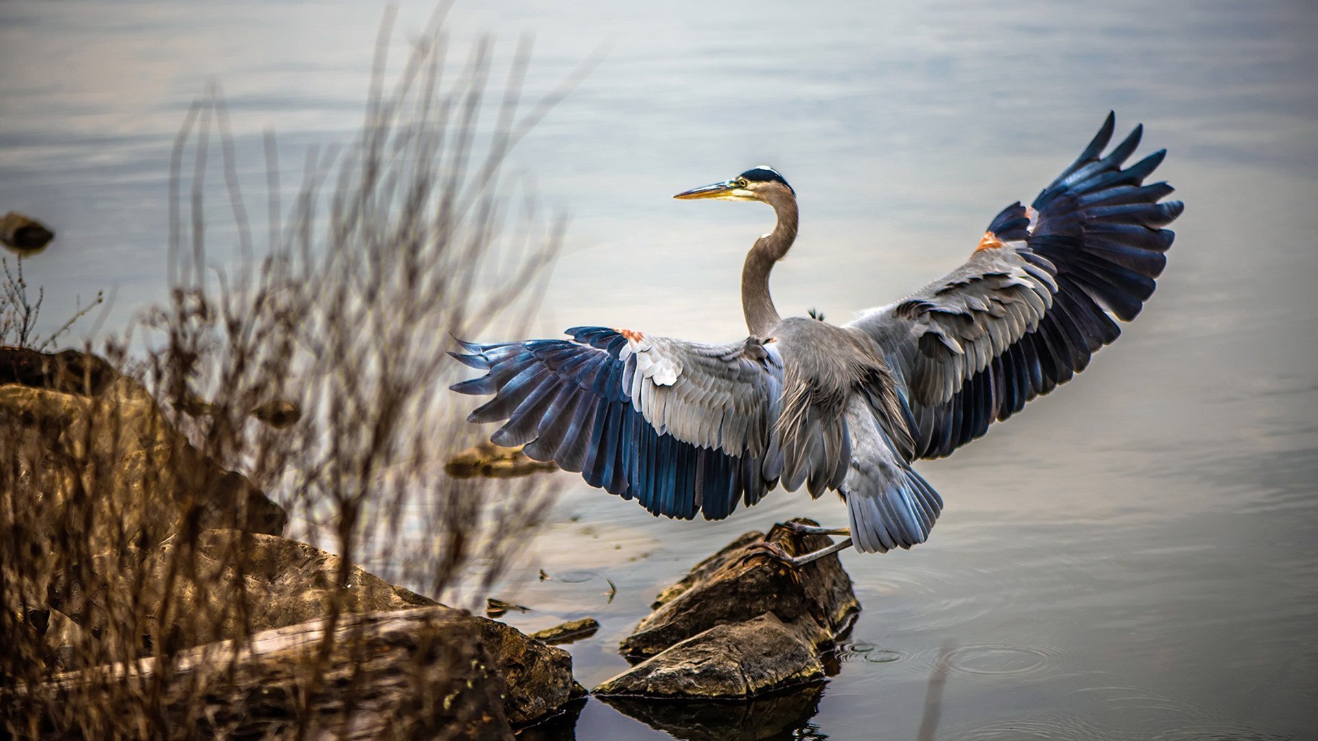 异域对决激荡人心,胜负在望谁能占上风?,异域战场
