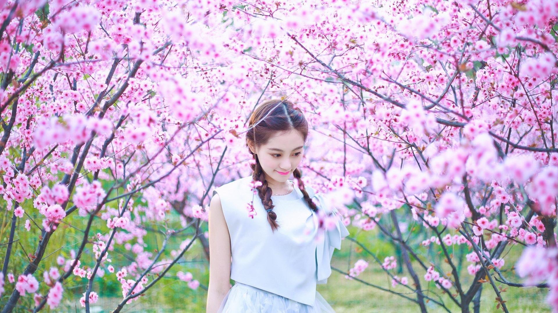 弗拉门戈攻防转换效率提升，弗拉门戈ds