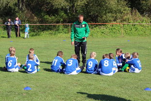 中国篮球教练员战术创新能力培养研究，篮球教练员职业素养的三大核心