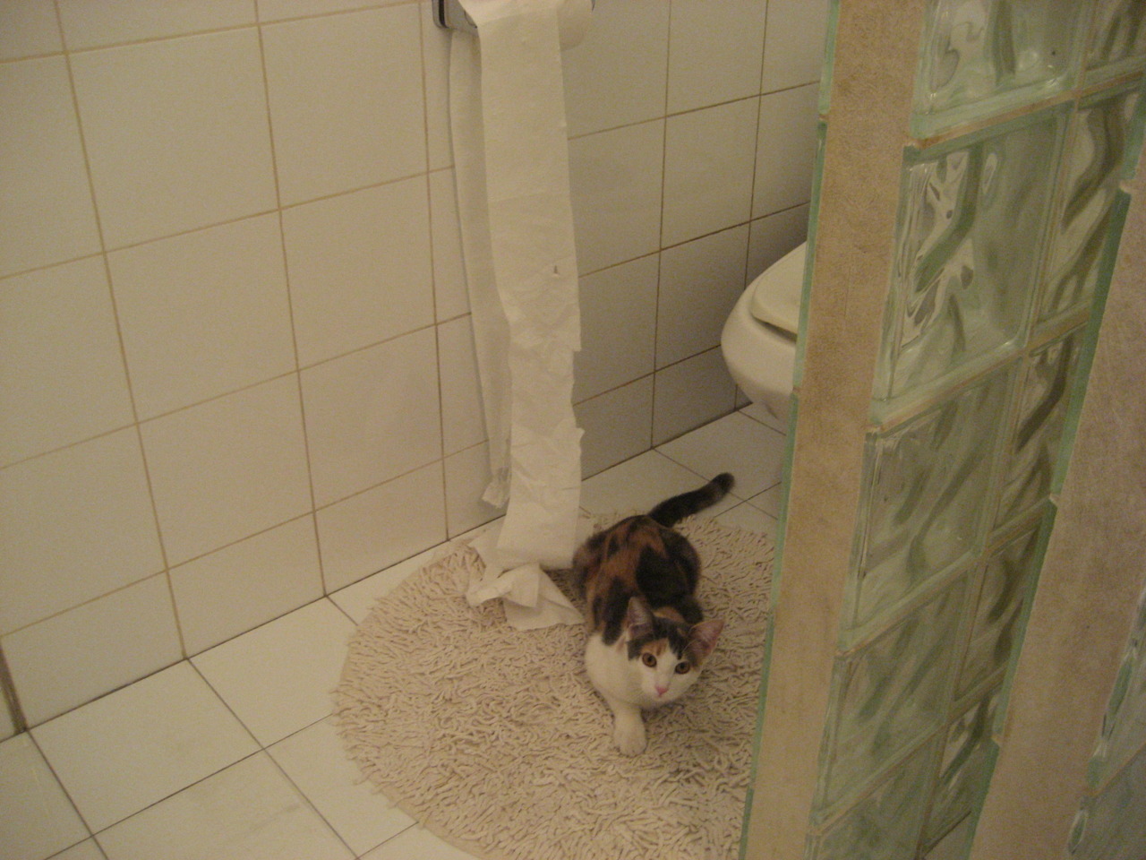 中国篮球运动员篮下脚步技术训练研究,篮底脚步