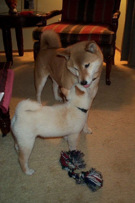 体育场馆环境优化方案，体育场馆运营方案提纲