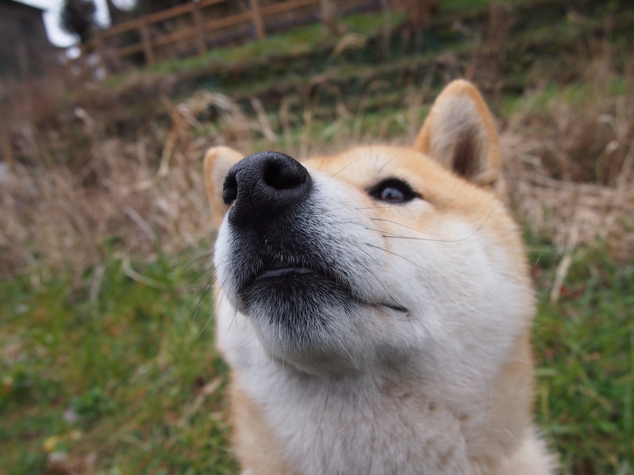 国足替补球员场均贡献度对比,国足替补门将