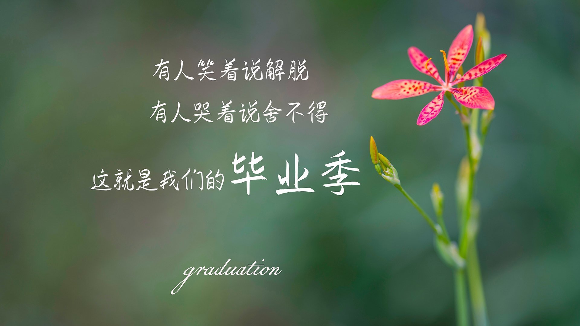 青训基金：欧洲豪门为未来投资的战略，青训是啥