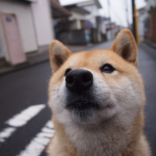“沙滩手球在天府新区赛场精彩亮相，运动员拼尽全力”