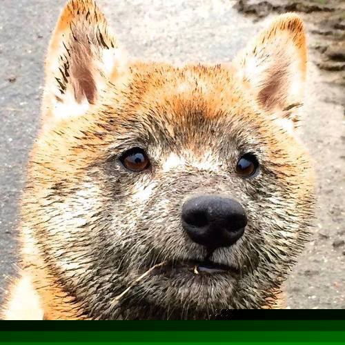 赛场爆冷弱旅击败强队刷新战队历史战绩