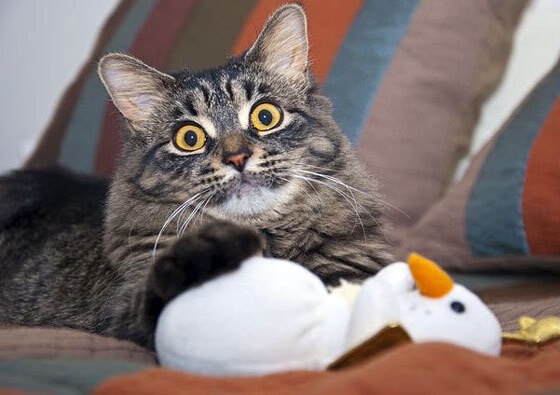 里根·史密斯决赛表现超出预期，里根 史密斯